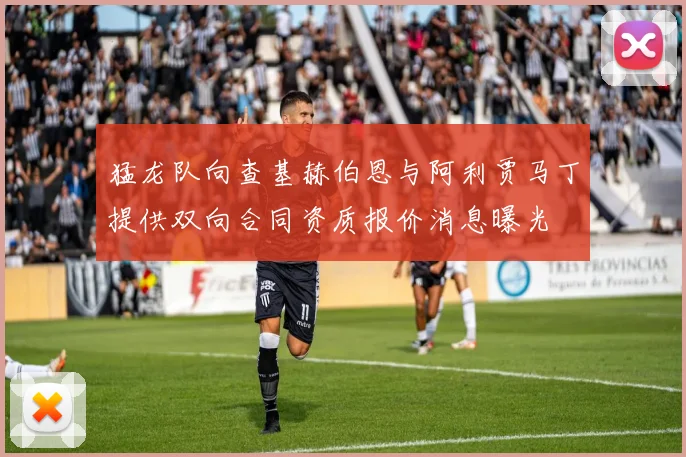 猛龙队向查基赫伯恩与阿利贾马丁提供双向合同资质报价消息曝光