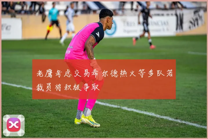 老鹰考虑交易希尔德热火等多队若裁员将积极争取